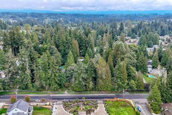 DJI_20240918121120_0019_D