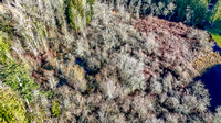 DJI_20250108115230_0004_D