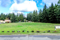 DJI_0005