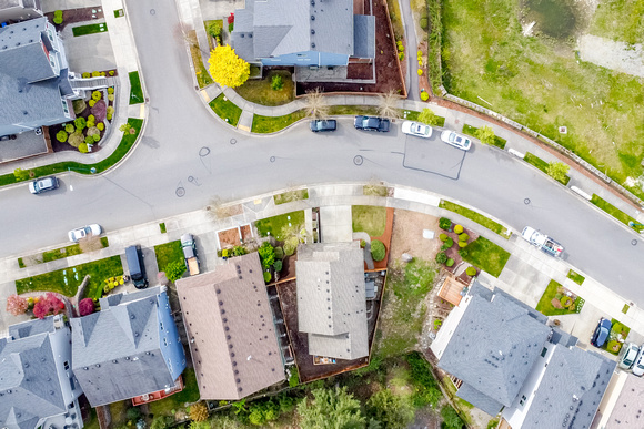 DJI_0559