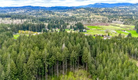 DJI_20240412110143_0014_D