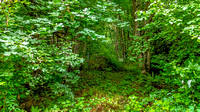 1680 Draham Rd Justina E. DN073024