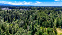 DJI_20240610125609_0031_D