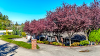 DJI_20240916145657_0046_D