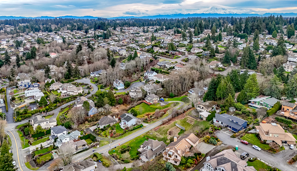 DJI_20241219132112_0030_D