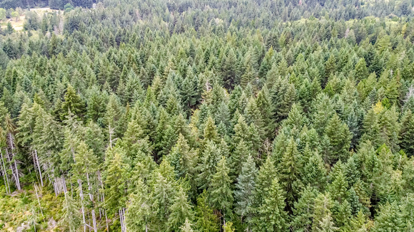 DJI_0045