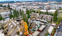 DJI_20241121103413_0006_D