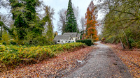 104th Pl SE Auburn Vacant Land Terri R. DN111924