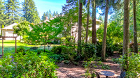 DJI_20240829150417_0021_D