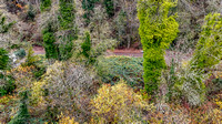 DJI_20241119124007_0016_D