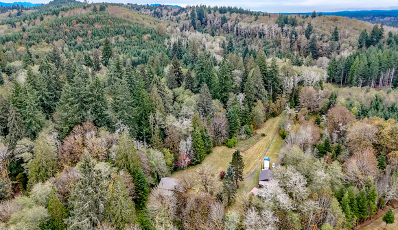 DJI_20241011115726_0016_D