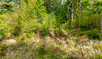 DJI_20240916120255_0027_D