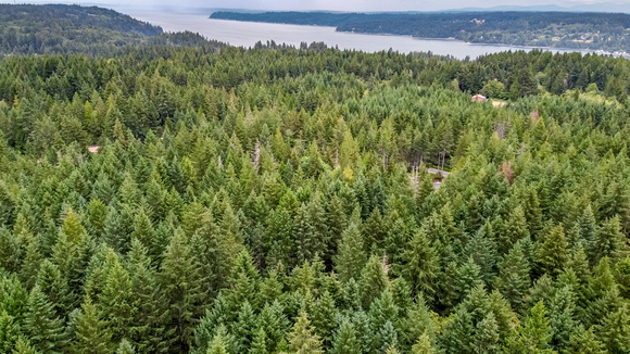 DJI_0047