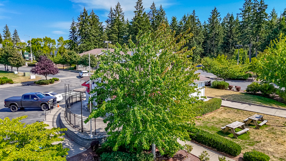 DJI_20240801155523_0017_D
