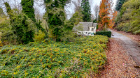 DJI_20241119123814_0004_D