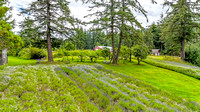 DJI_20240701123931_0014_D