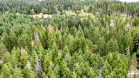 DJI_0054