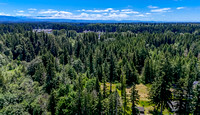 DJI_20240610125557_0030_D